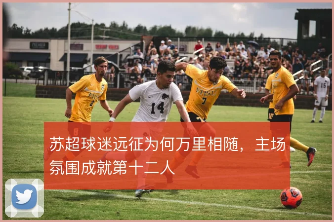 苏超球迷远征为何万里相随,主场氛围成就第十二人